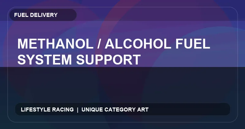 Methanol / Alcohol Fuel System Support